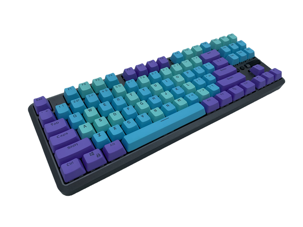 Hotswap TKL Mechanical Keyboard - Frost Queen