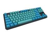 Hotswap TKL Mechanical Keyboard - Frozen Lake - Alpherior Keys
