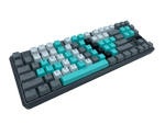 Hotswap TKL Mechanical Keyboard - Xenon - Alpherior Keys