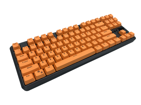 Hotswap TKL Mechanical Keyboard - Orange - Alpherior Keys